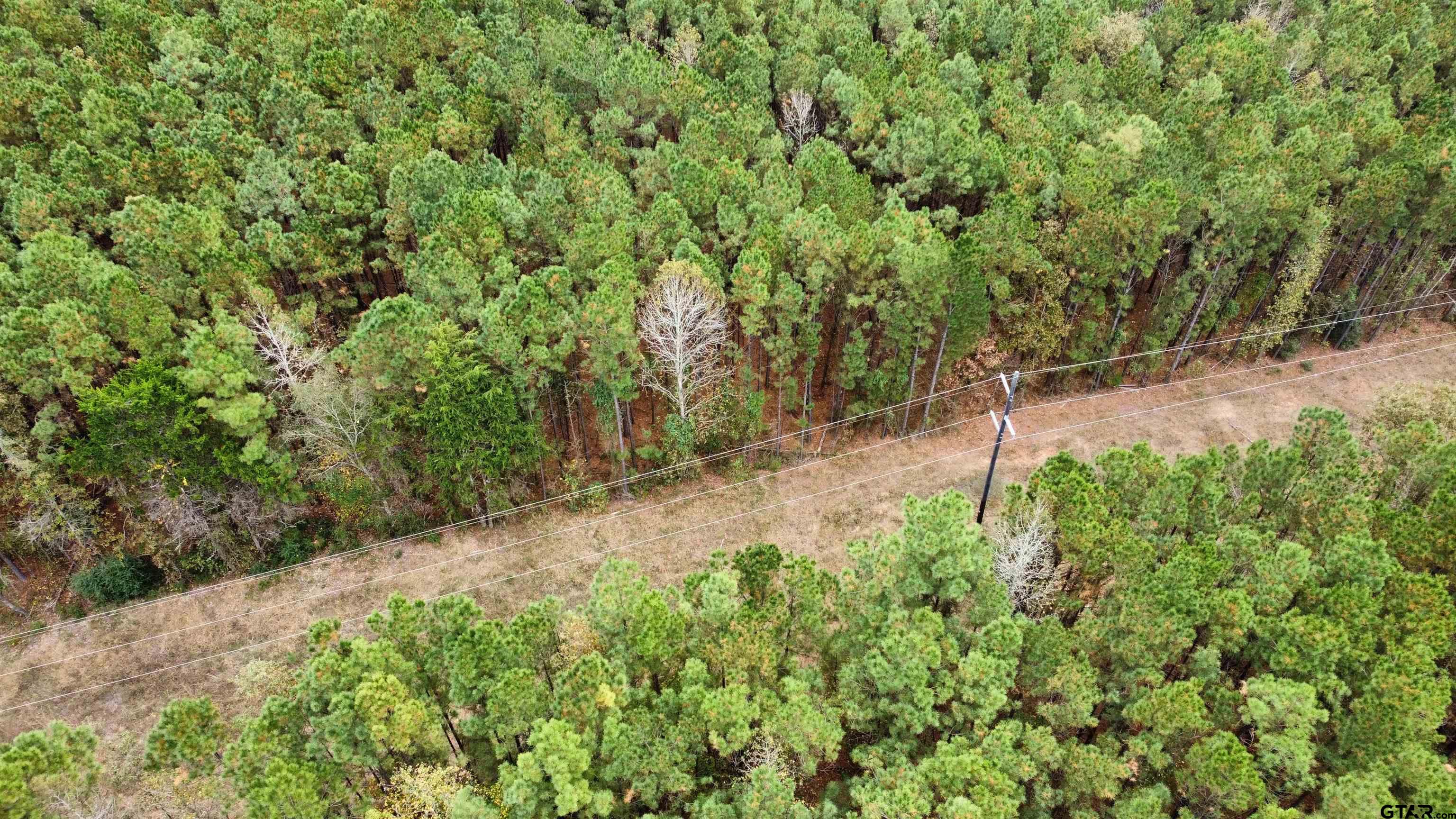 21521 County Road 2160