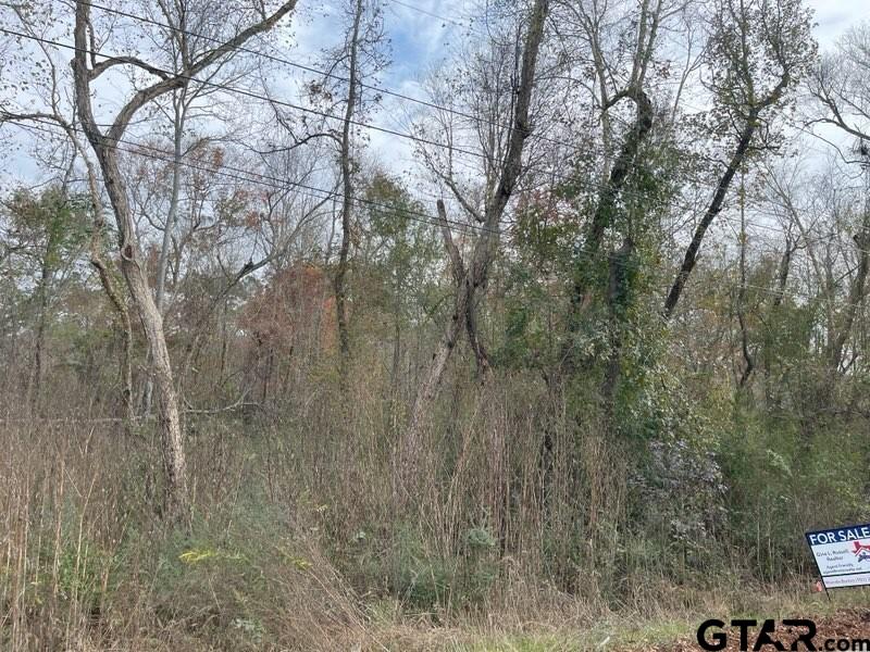 9707 W Lakeshore Dr.