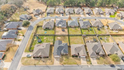 440 Maggie Cir Flint TX 75762