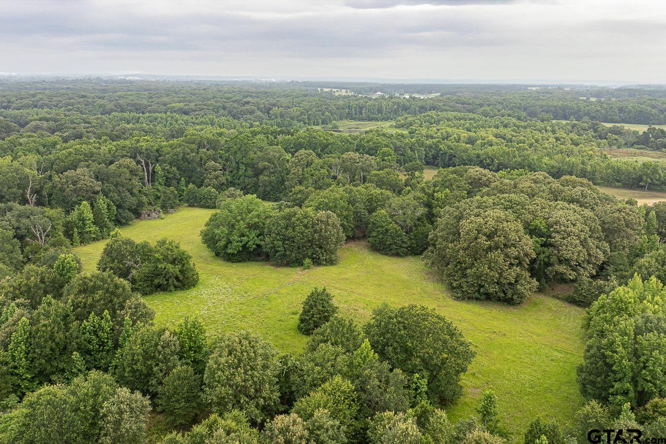 1656 VZ County Road 2918
