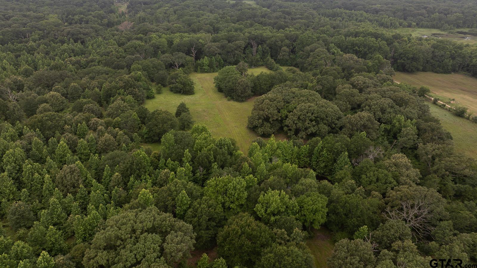 1656 VZ County Road 2918