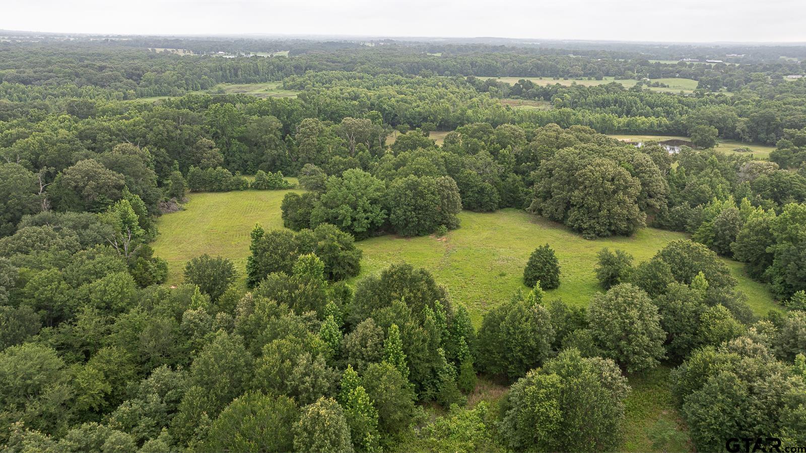 1656 VZ County Road 2918