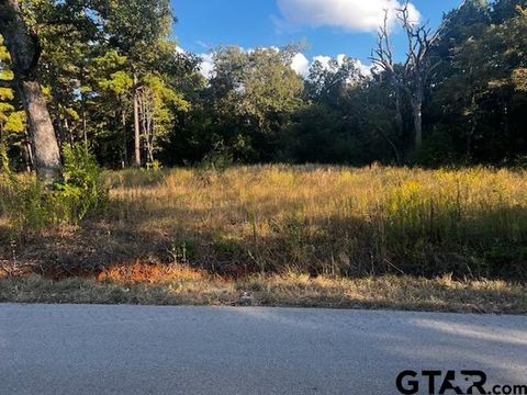 10499 County Road 1111 Tyler TX 75704