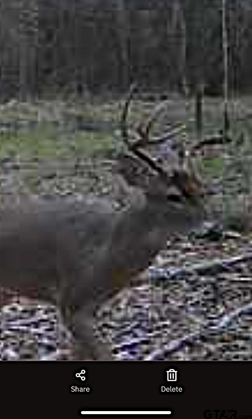 TBD CR 3230