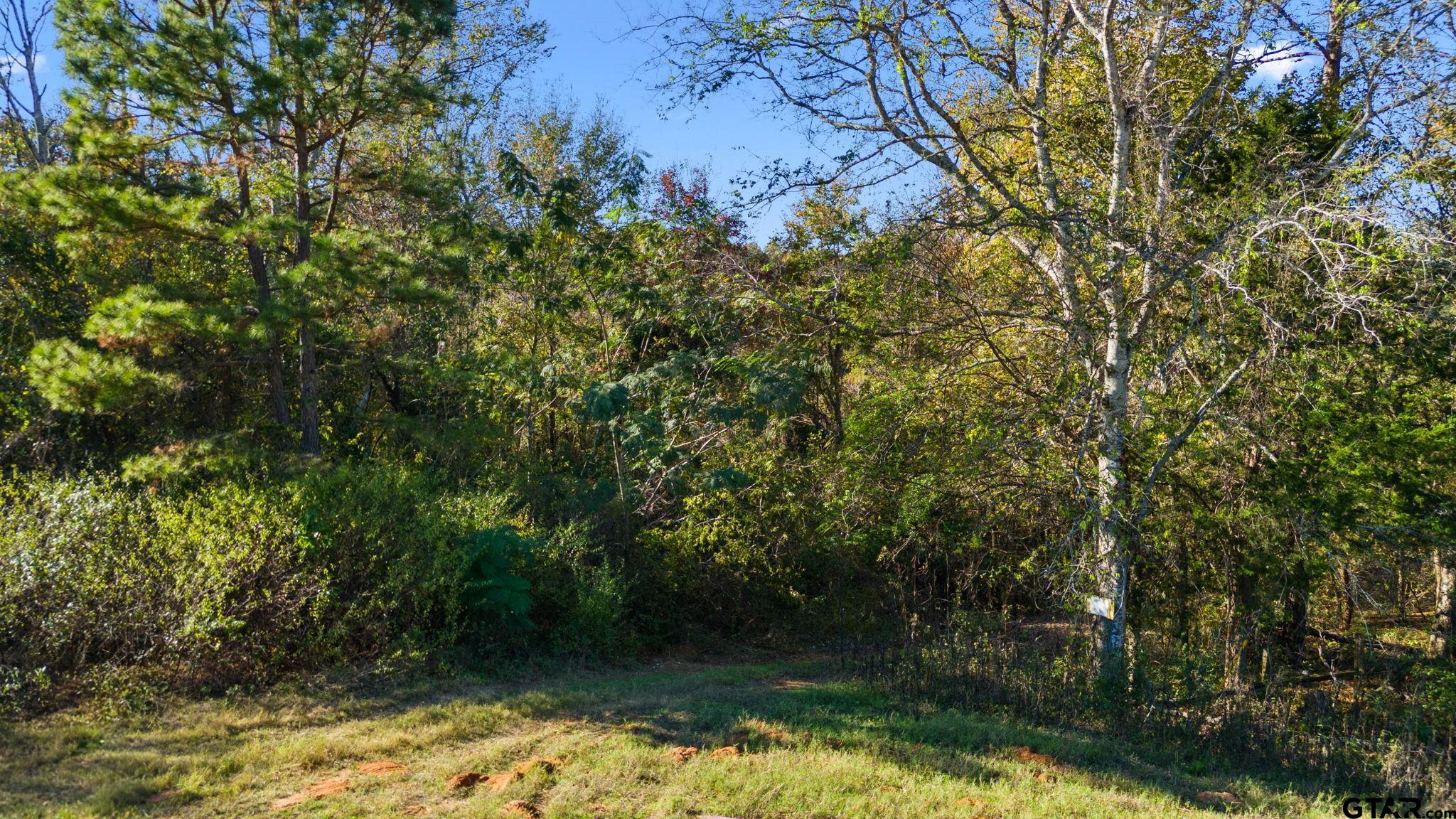 0000 County Road 3147