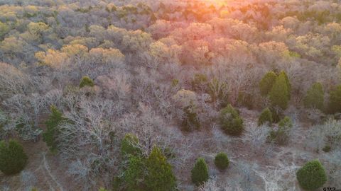 Tract 2 000 CR 1500 Athens TX 75751