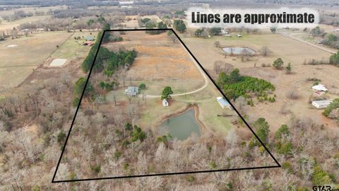 350 PR 6937 Alba TX 75410