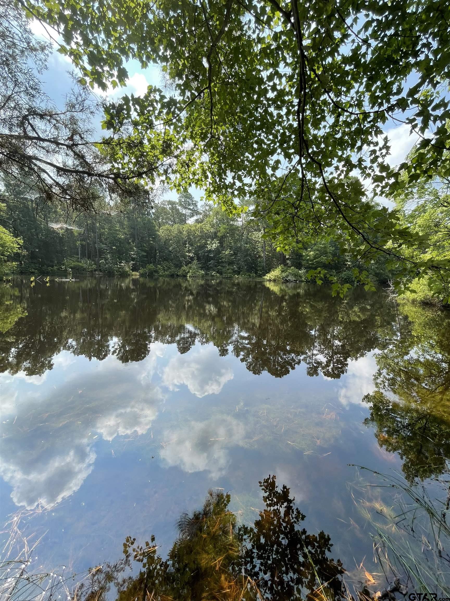 TBD County Road 4559