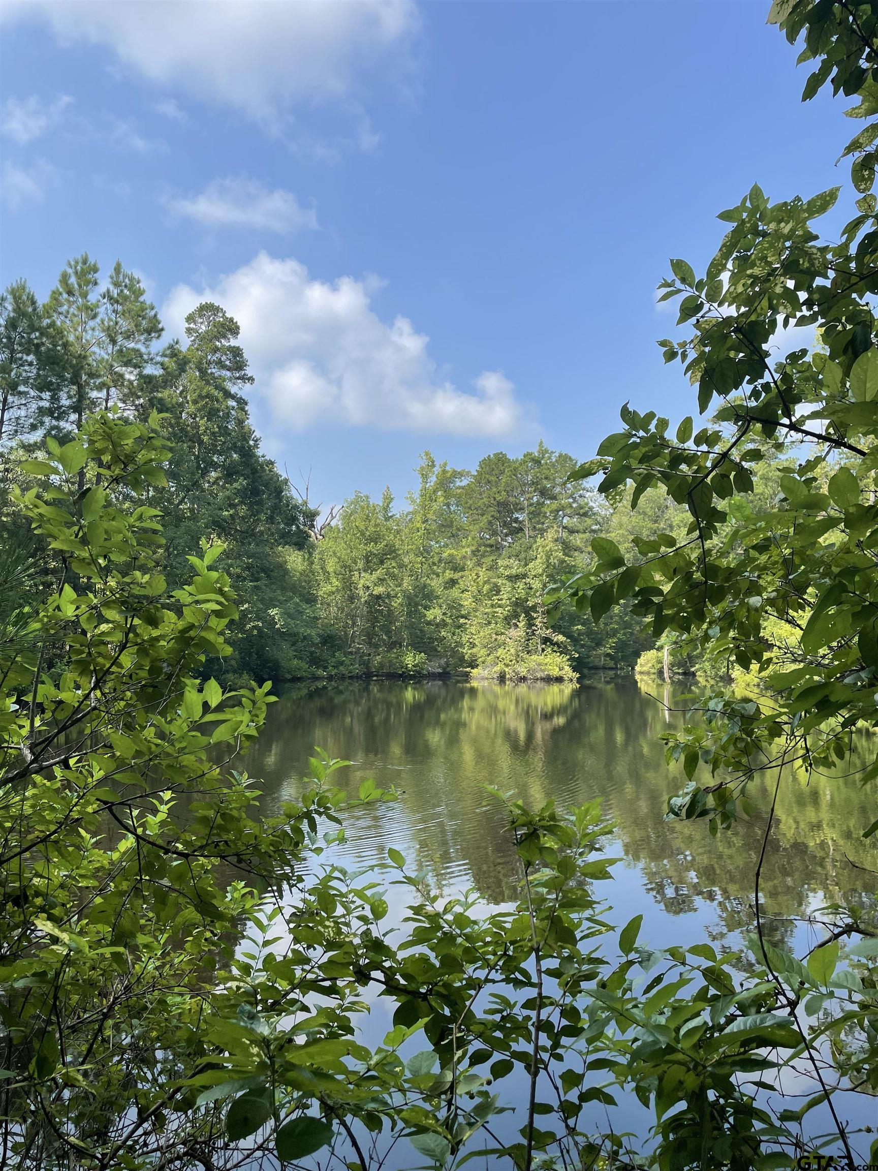 TBD County Road 4559