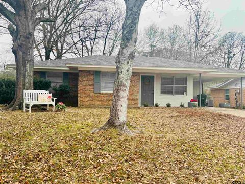 3131 Greg Ln Tyler TX 75701