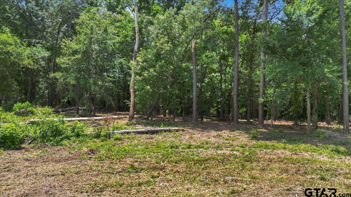 TBD CR 224 (Lot 3A)