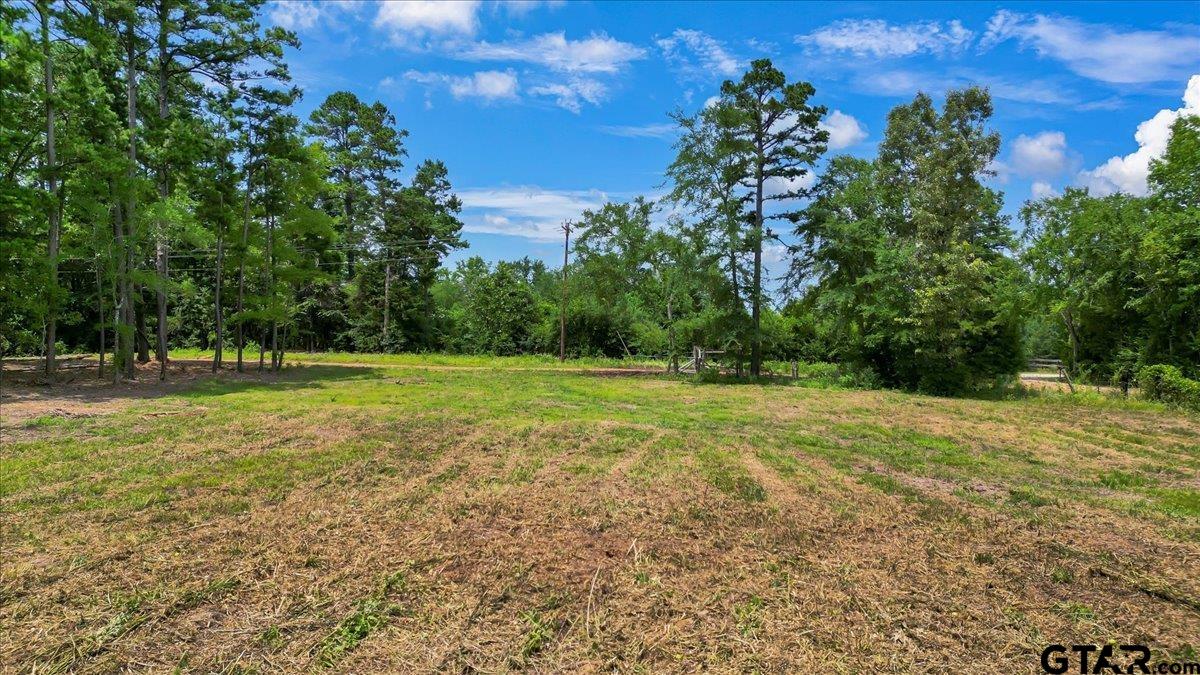 TBD CR 224 (Lot 3A)