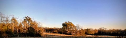 7034 HWY 67 E Cookville TX 75558