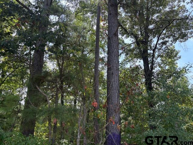 1395 County Road 3405