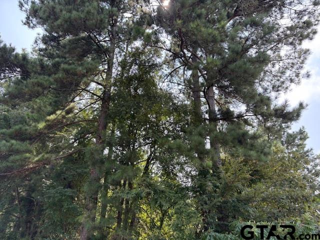 1395 County Road 3405