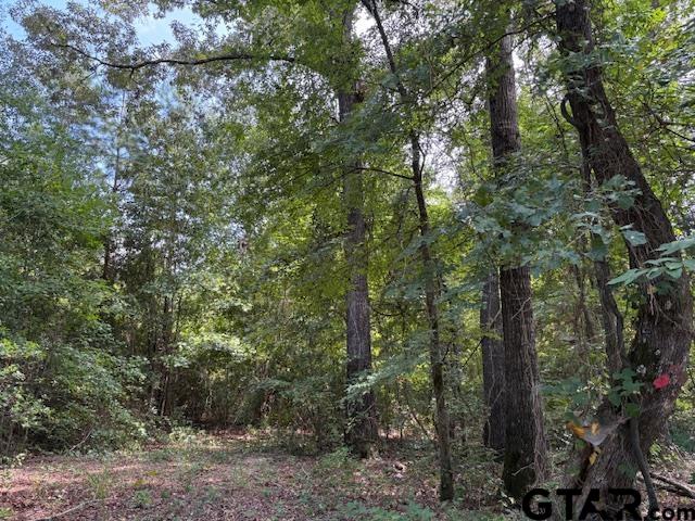 1395 County Road 3405