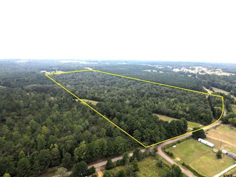 1395 County Road 3405 Jacksonville TX 75766