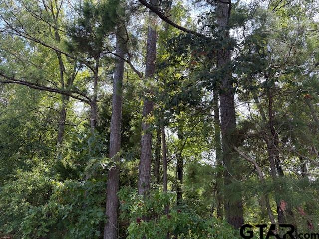 1395 County Road 3405