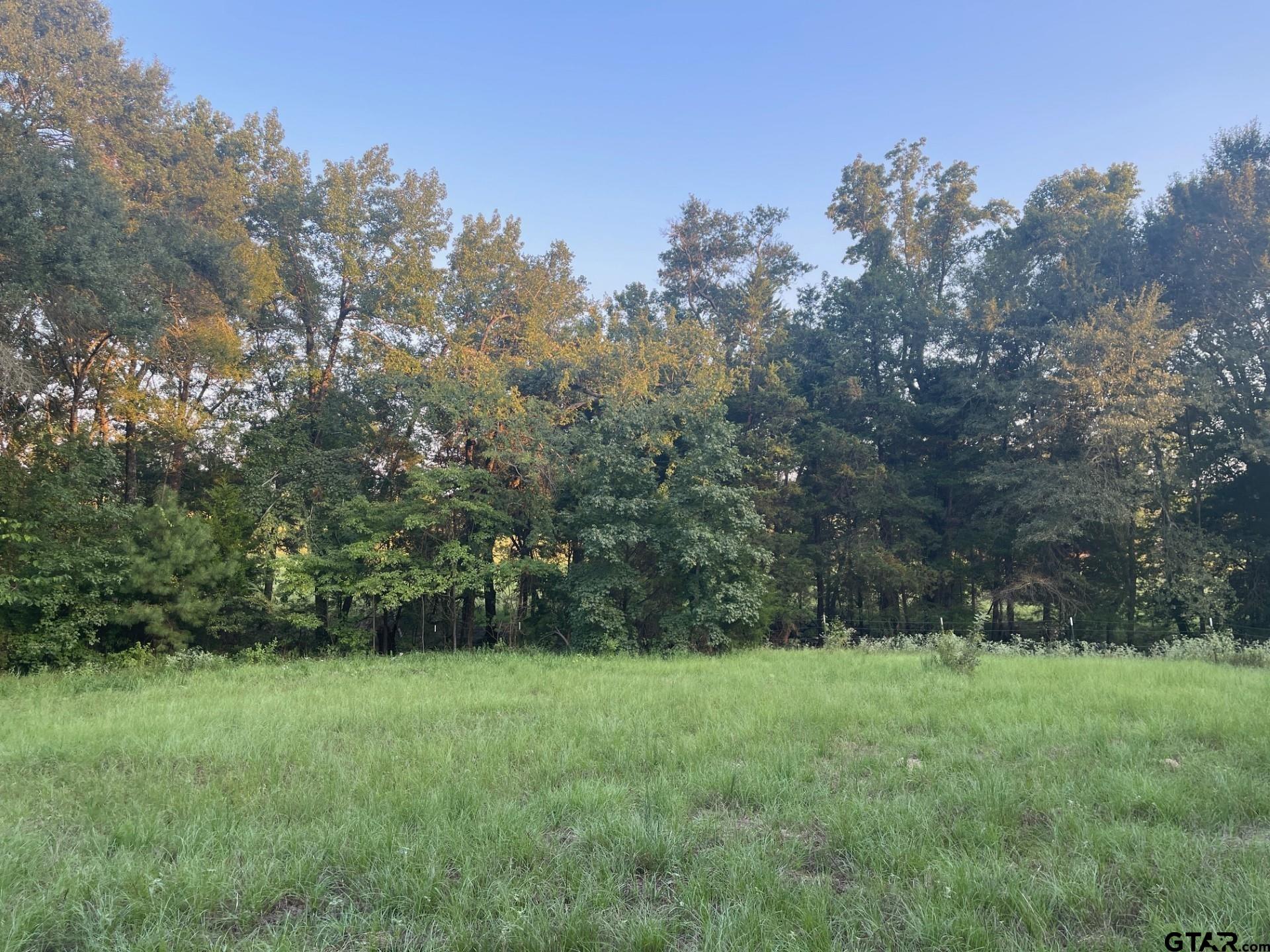 0000 FM 2909 & PR 8905