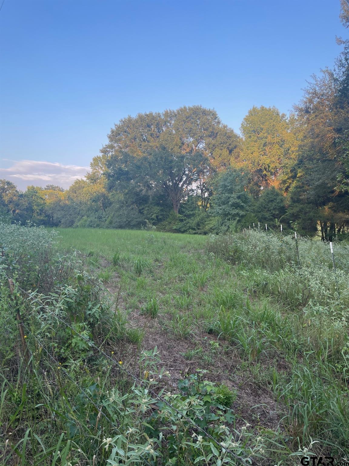 0000 FM 2909 & PR 8905