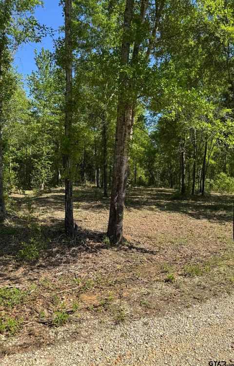 24337 FM 838 Overton TX 75684