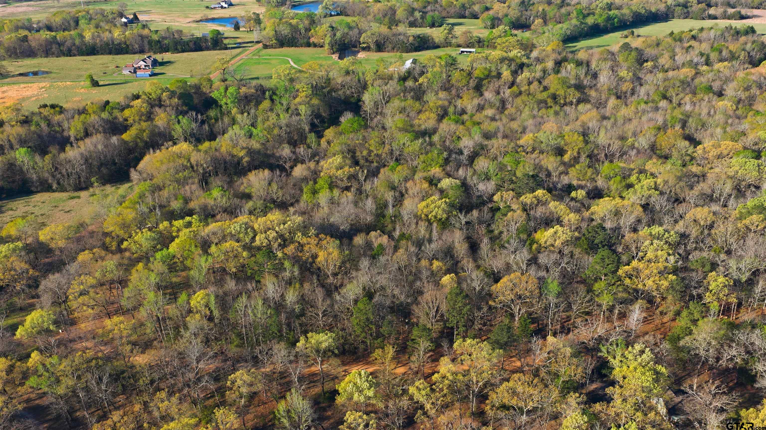 13001 County Road 3300