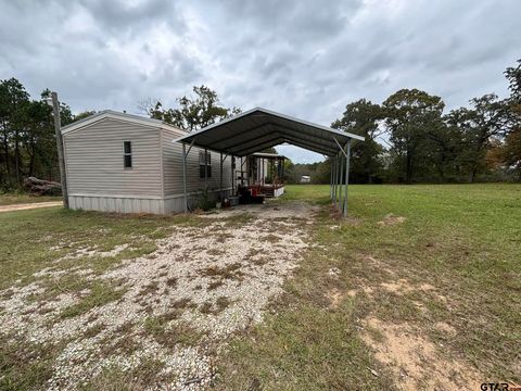 A home in Mineola