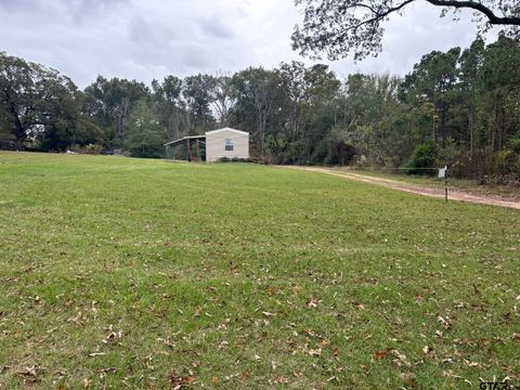 A home in Mineola