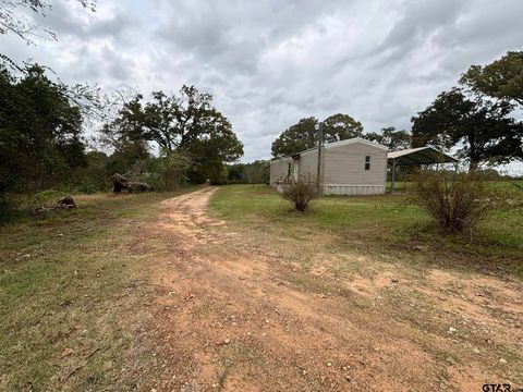 A home in Mineola