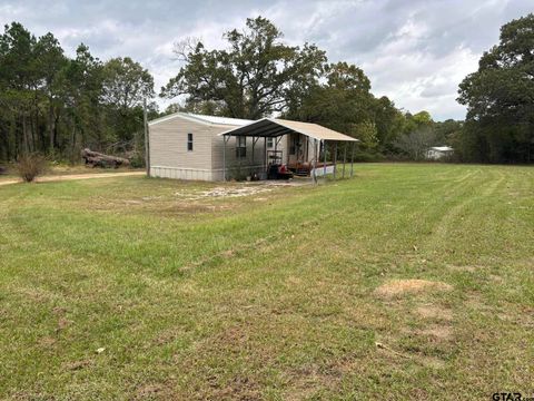 A home in Mineola