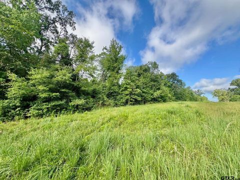 TBD CR 369 Winona TX 75792