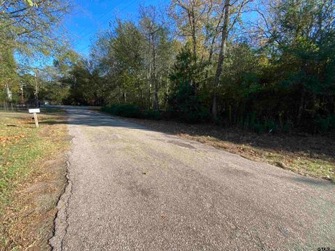 11684 Lot 2 CR 338 Lindale TX 75771