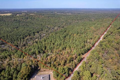 000 County Rd 359 Winona TX 75792