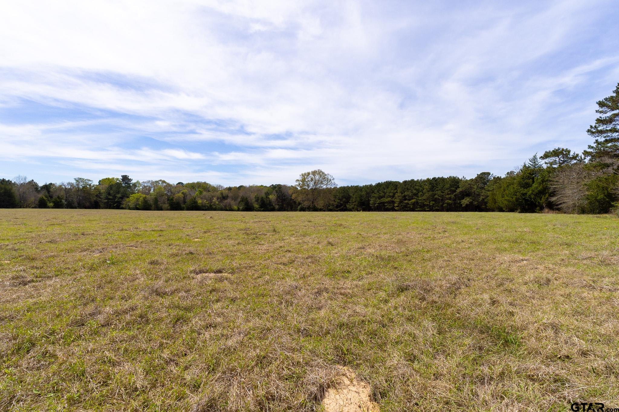 000 County Road 334