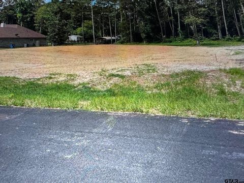 209 PEACHTREE LN Big Sandy TX 75755