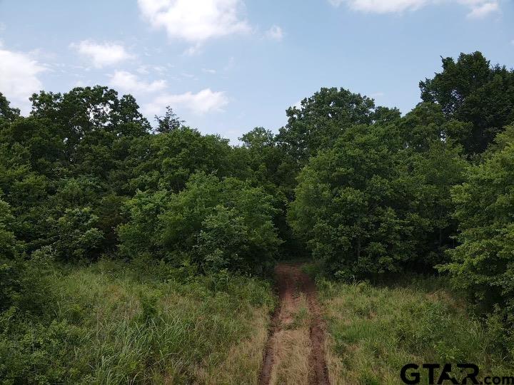 14546 HWY 271