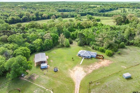 891 CR 4740 Winnsboro TX 75494