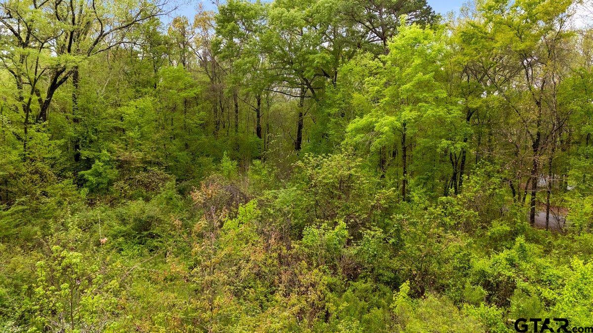 Henderson, Texas 75654, United States, ,Land,Active,99160