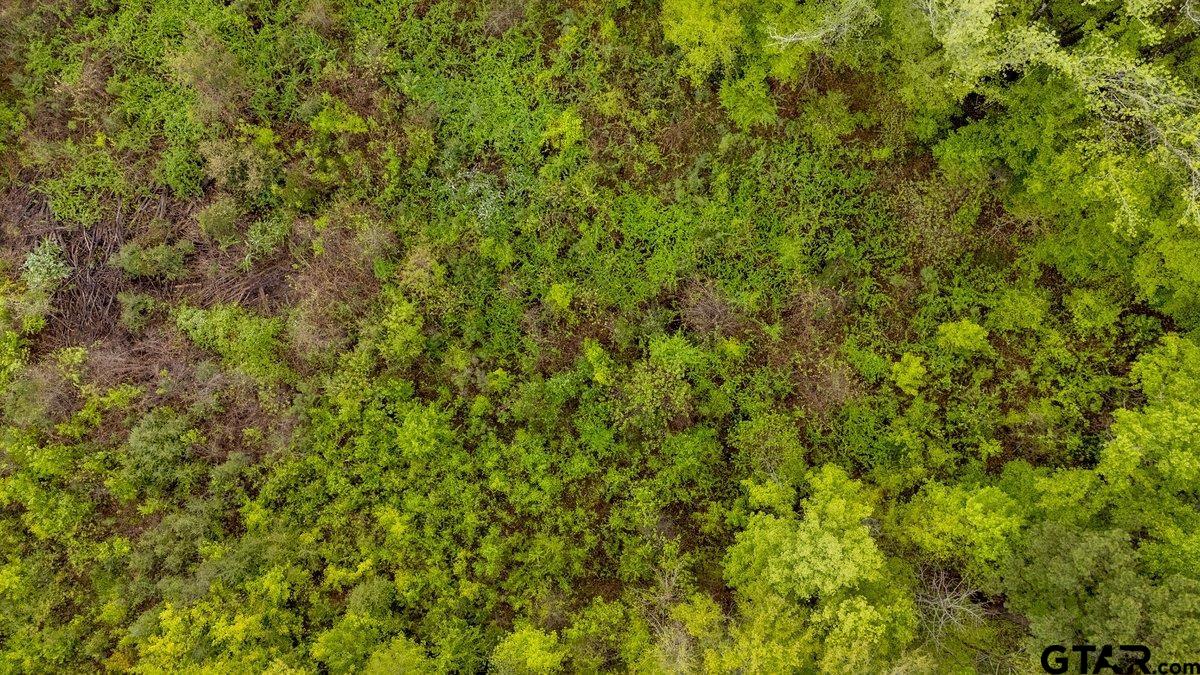 Henderson, Texas 75654, United States, ,Land,Active,99160