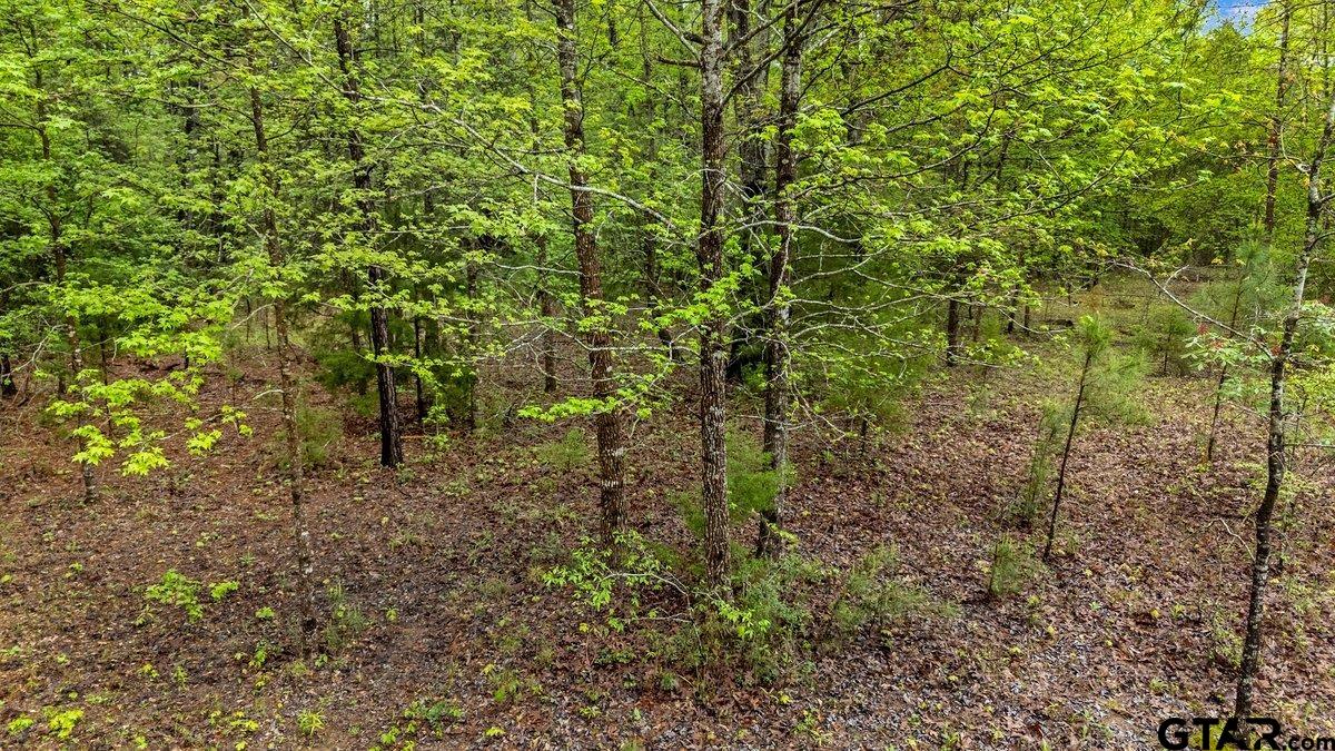 Henderson, Texas 75654, United States, ,Land,Active,99160