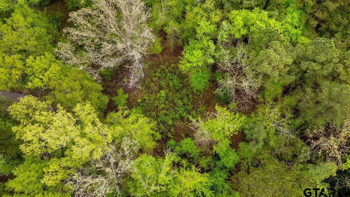 Henderson, Texas 75654, United States, ,Land,Active,99160