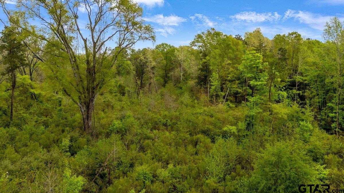 Henderson, Texas 75654, United States, ,Land,Active,99160