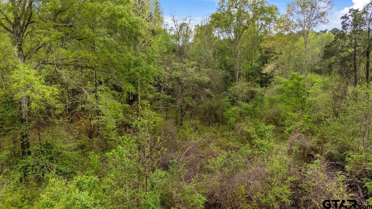 Henderson, Texas 75654, United States, ,Land,Active,99160