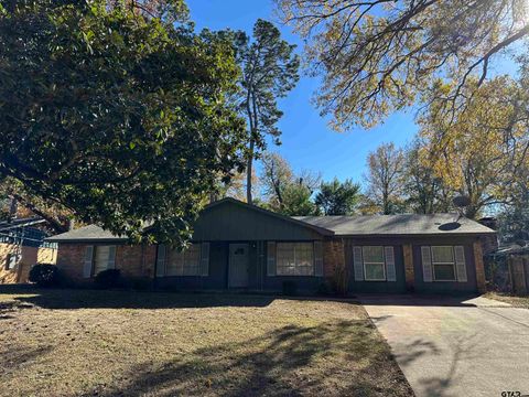 2917 Fleetwood Dr Tyler TX 75701