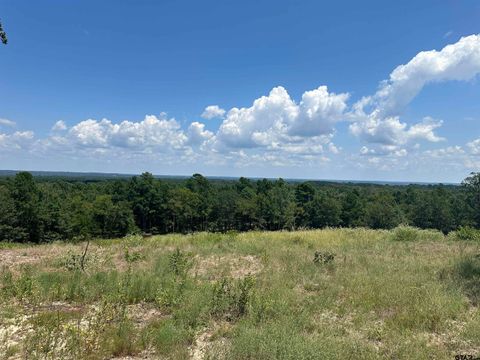 10791 CR 3407 Brownsboro TX 75756