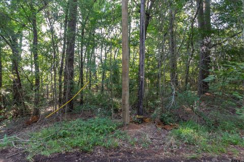 TBD CR 1237 Tyler TX 75703