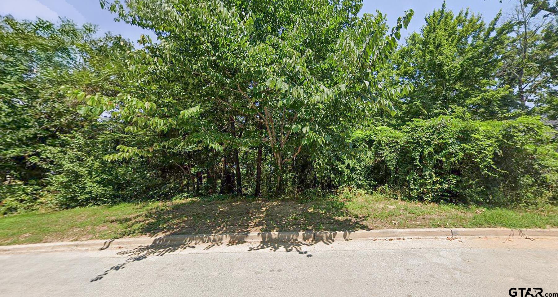 4513 Cascades Shoreline Dr