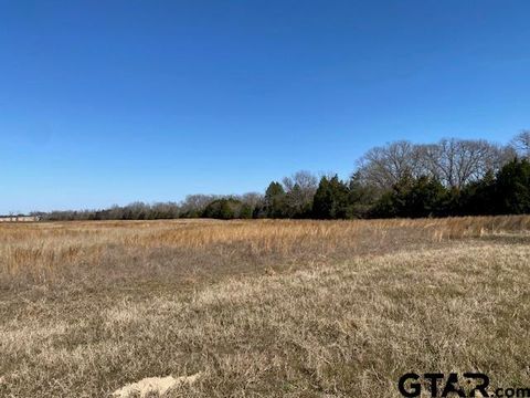 4101 CR 3703 Athens TX 75752