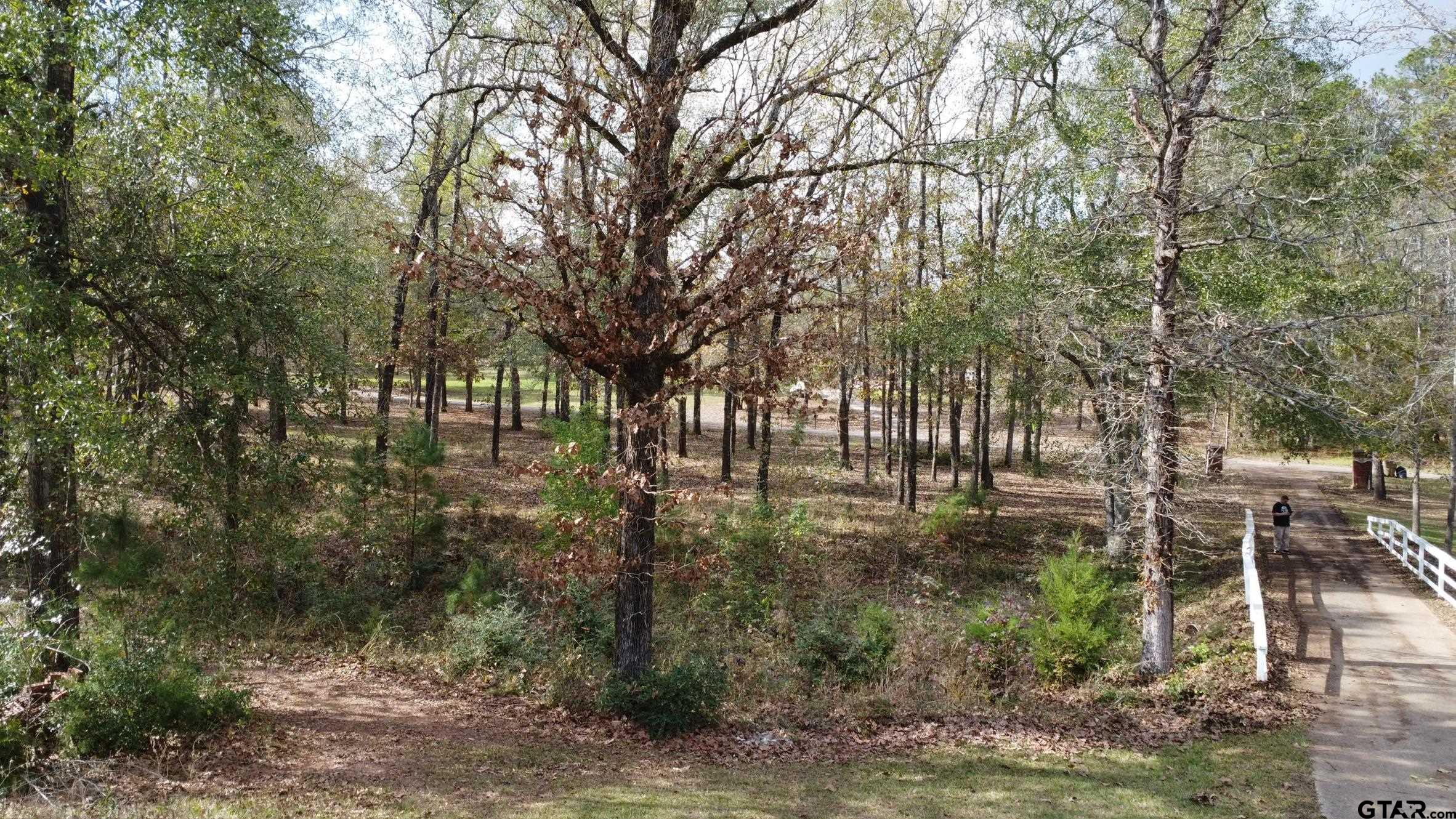 Palestine, Texas 75803, United States, 3 Bedrooms Bedrooms, ,3 BathroomsBathrooms,Residential,Active,254406