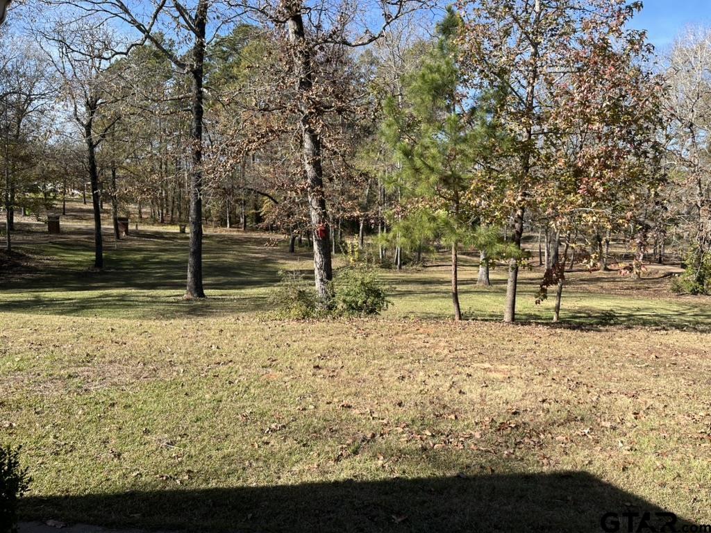 Palestine, Texas 75803, United States, 3 Bedrooms Bedrooms, ,3 BathroomsBathrooms,Residential,Active,254406